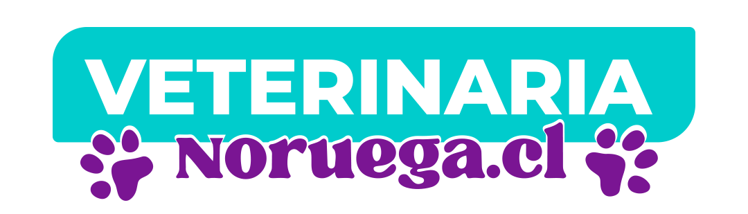 NORUEGA PETS